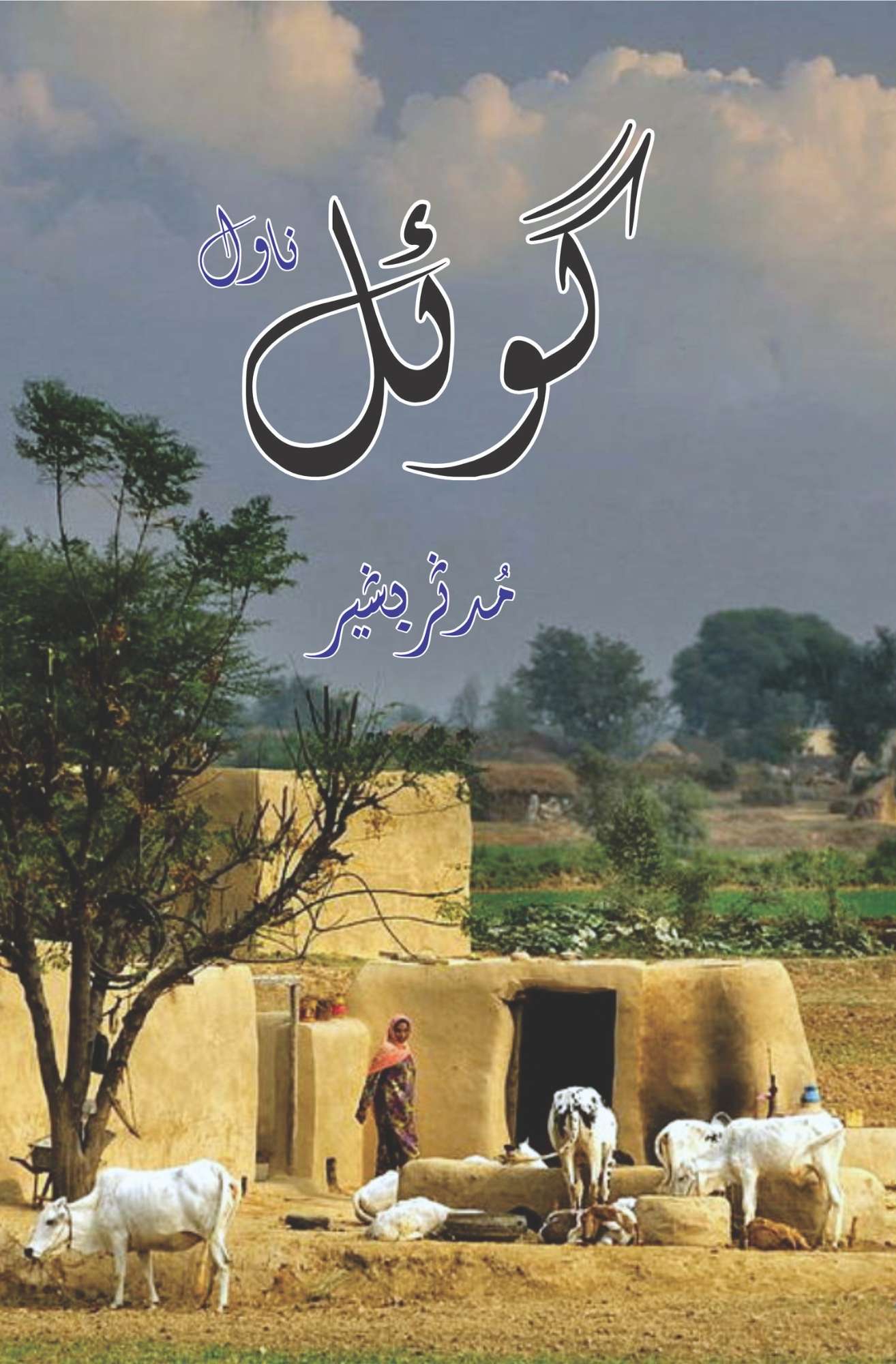 Goyal | Noval | Mudassar Bashir گوئل (پنجابی ناول) مدثر بشیر