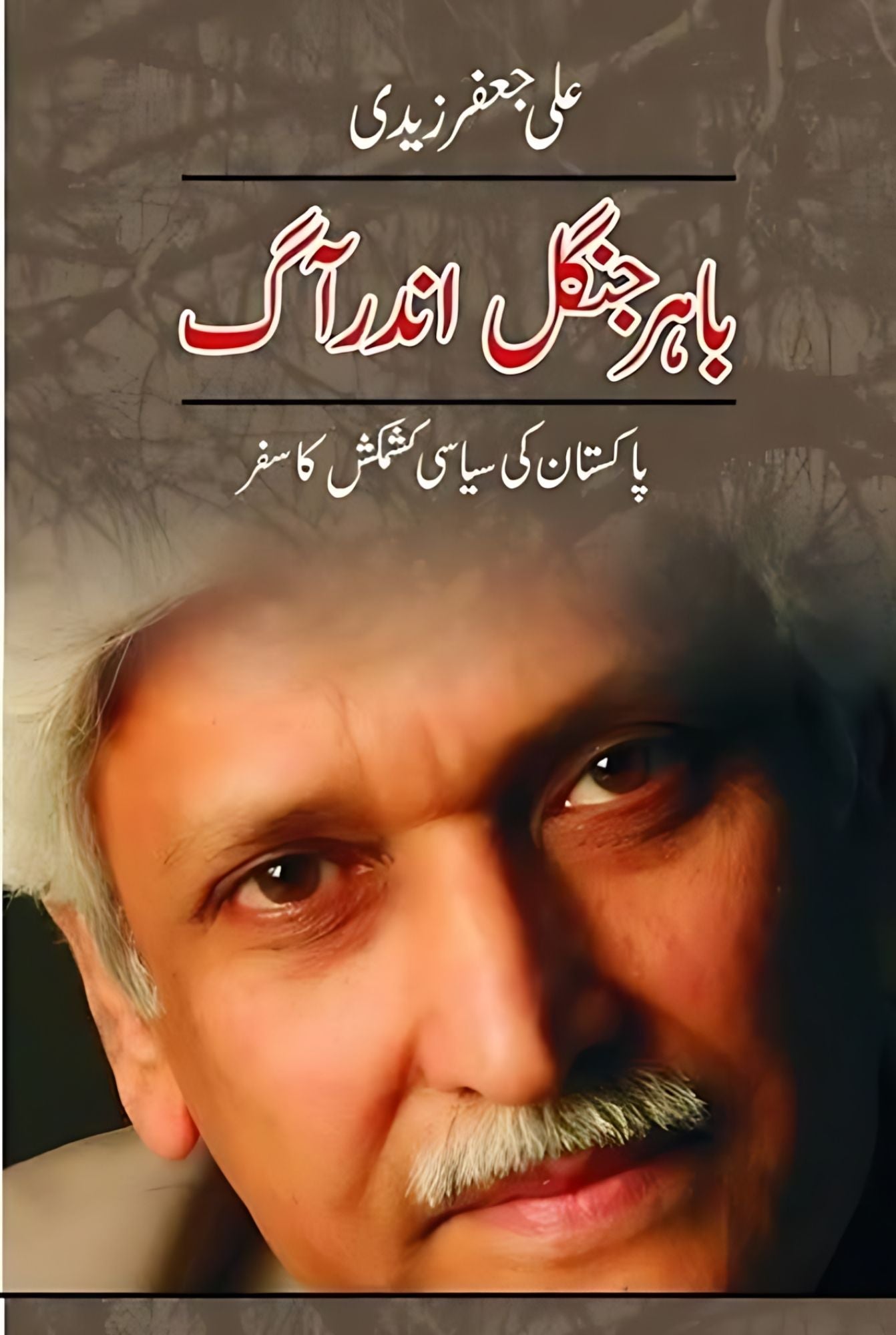 باہر جنگل اندر آگ |  علی جعفر زیدی