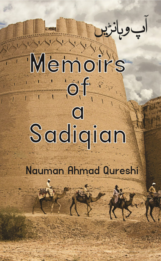 Memoirs of a Sadiqain Fiction House